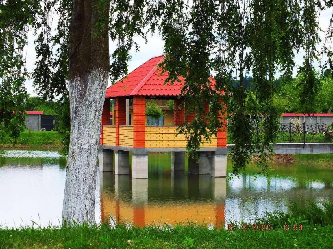 Illara Spa Hotel Иршава Экстерьер фото