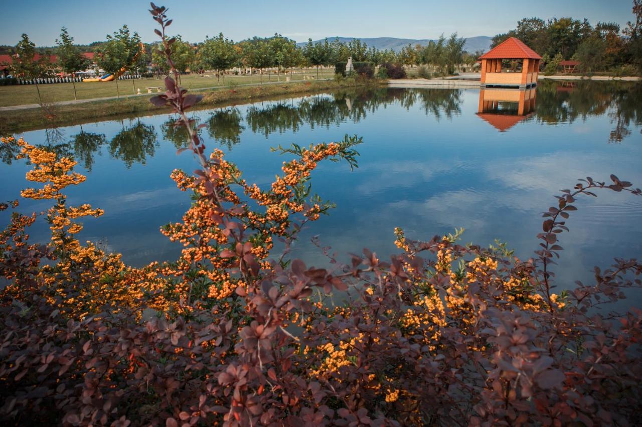 Illara Spa Hotel Иршава Экстерьер фото