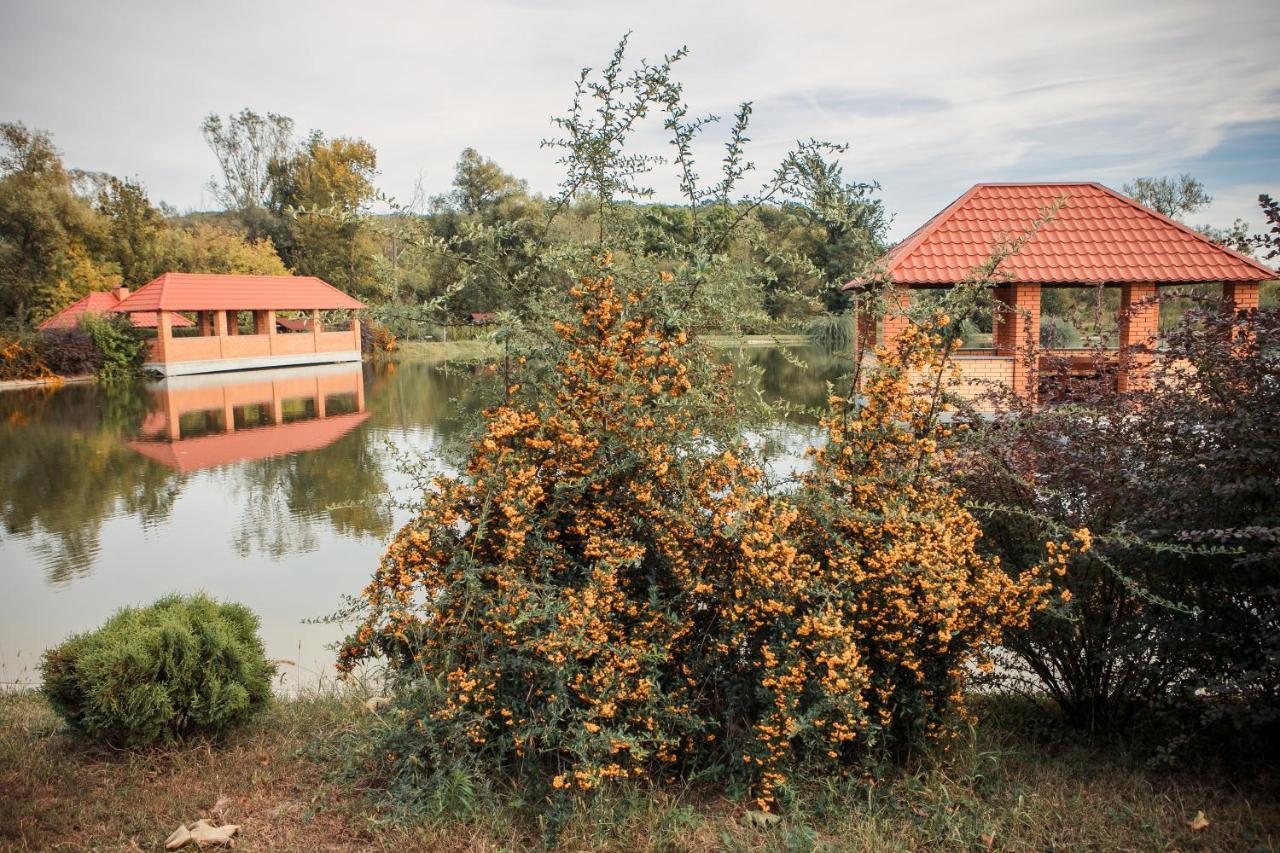 Illara Spa Hotel Иршава Экстерьер фото