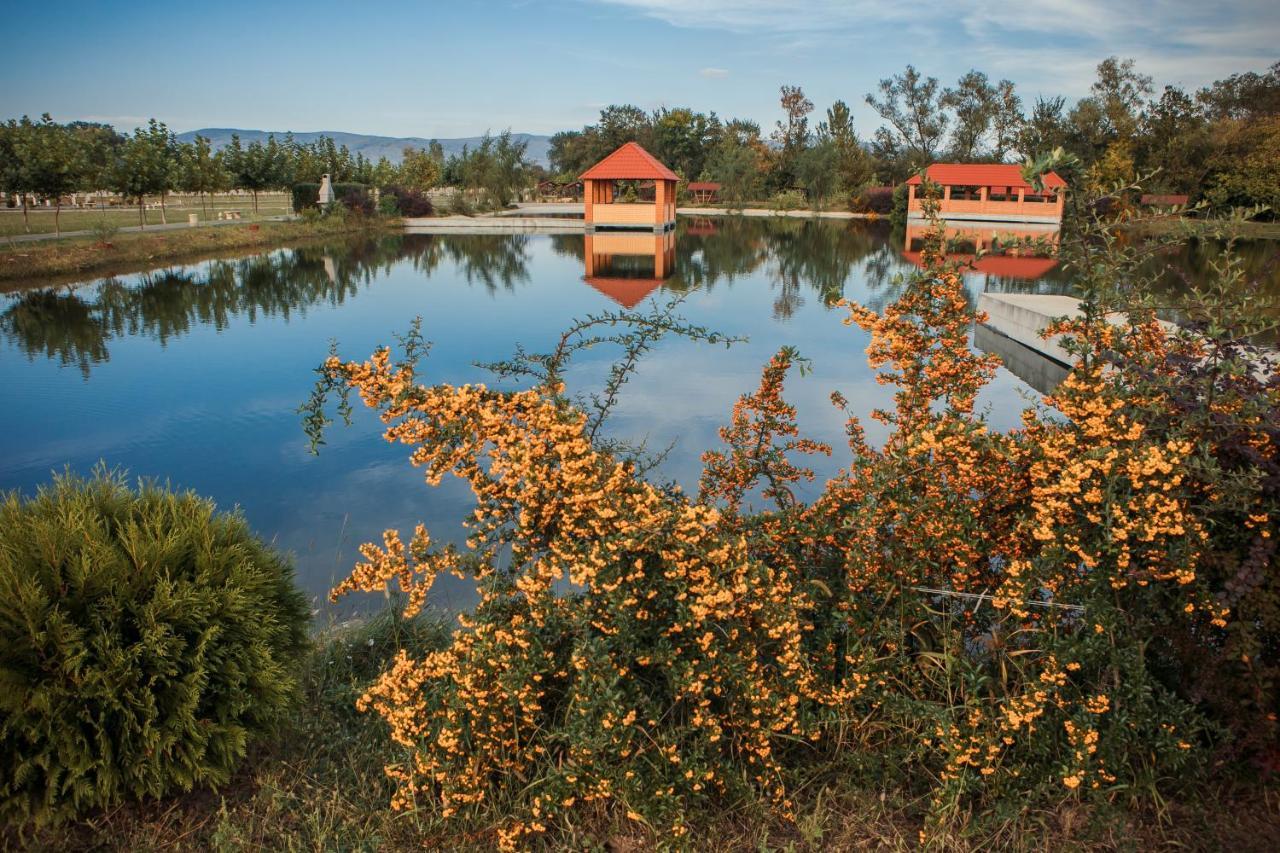 Illara Spa Hotel Иршава Экстерьер фото